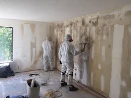 Best Mold Removal for HVAC Installations  in Stowell, TX